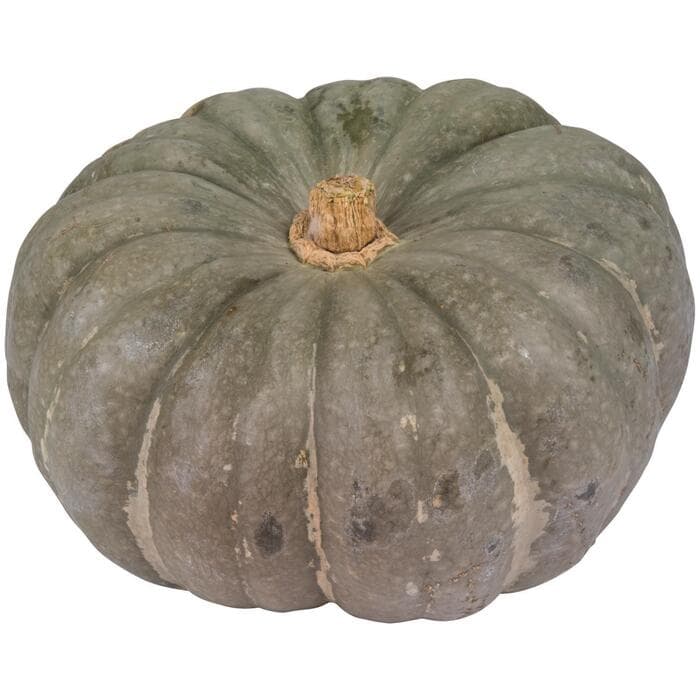 Potiron