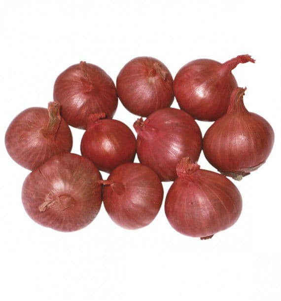 Echalote Ronde