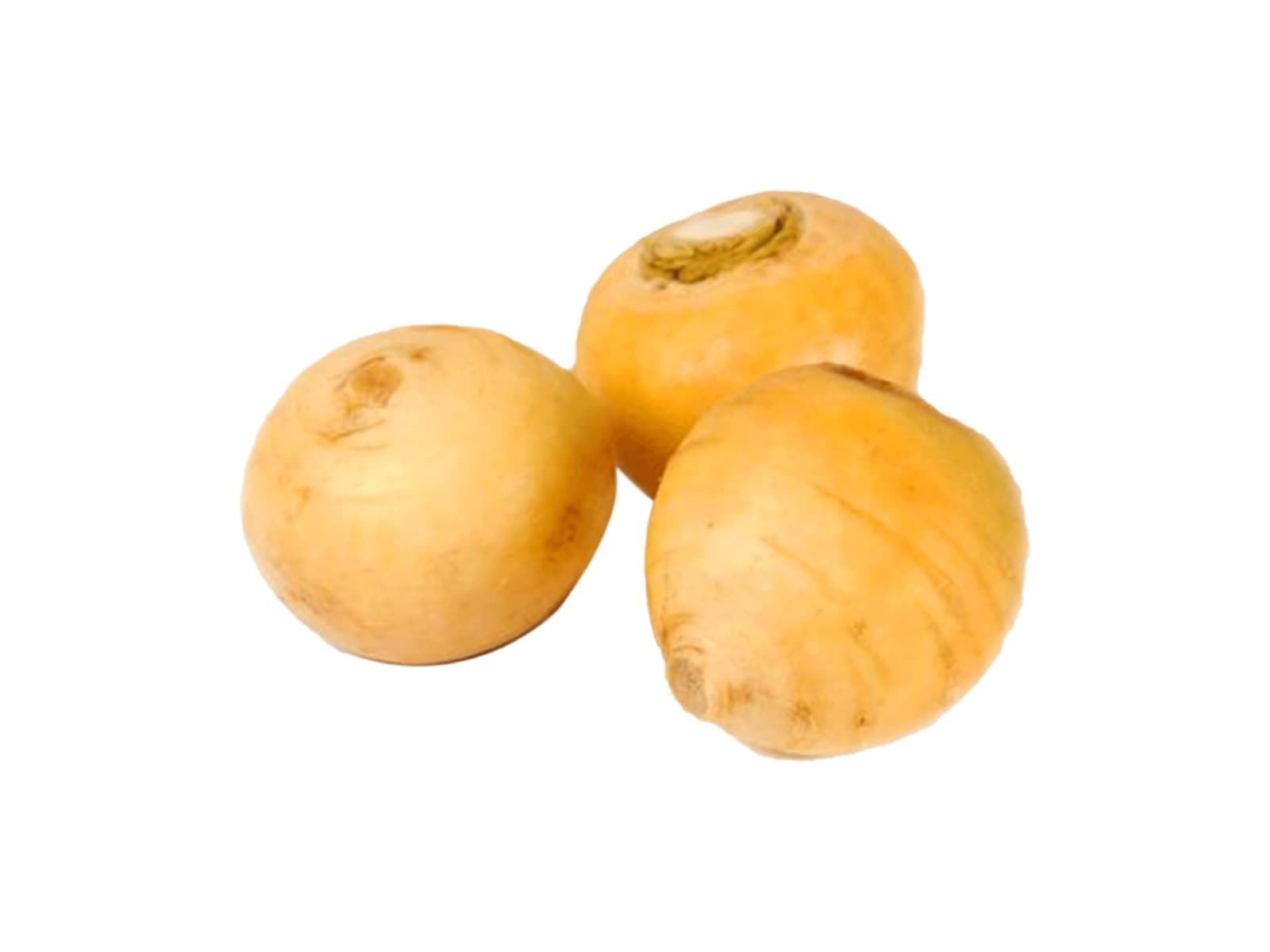 Navet Jaune