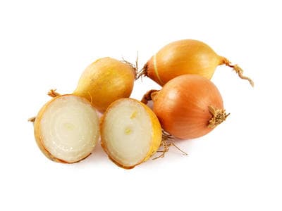 Petit Oignon