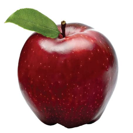 Pomme Arbor Rouge