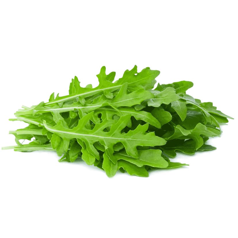 Roquette